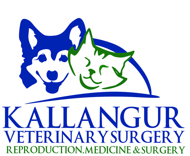 Kallangur Veterinary Surgery