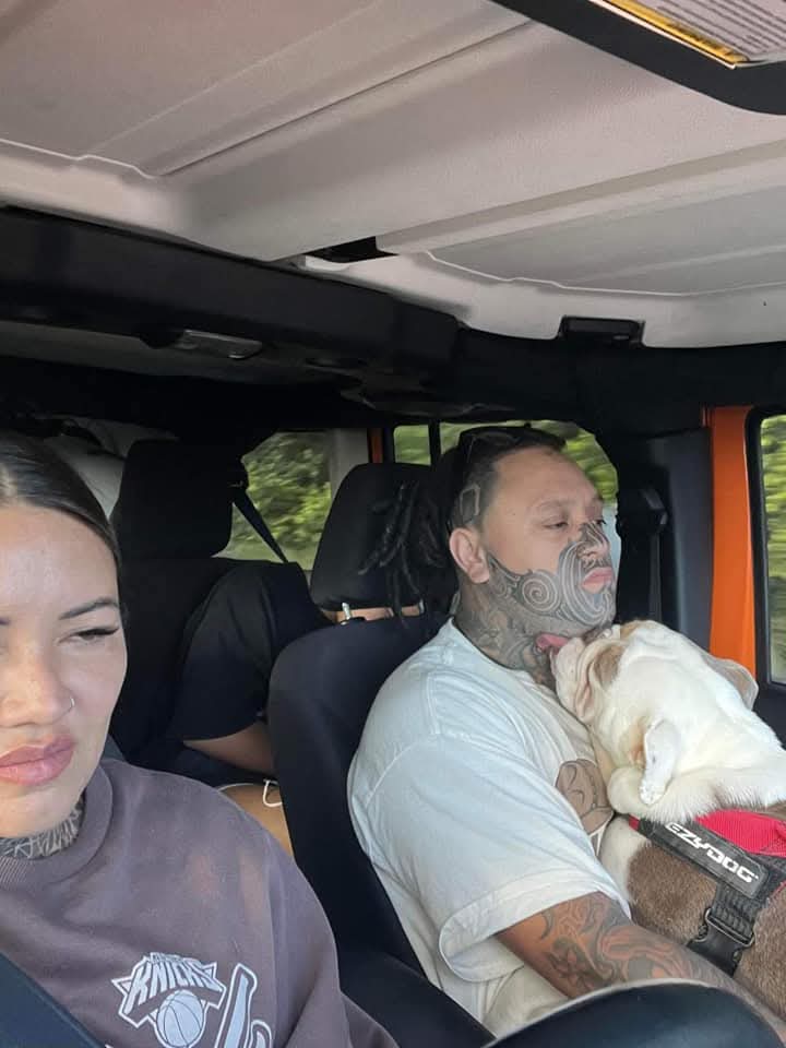Couple driving home with bulldog